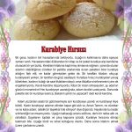 Kurabiye hırsızı