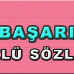 basari-ozlu-sozler