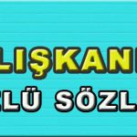 caliskanlik-ozlu-sozler