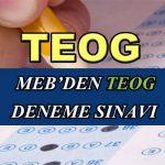 meb-teog-deneme-sinavi