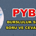 2017 BURSLULUK SINAVI SORULARI