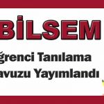 bilsemı