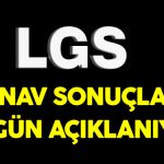 lgs