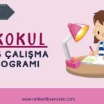 ilkokul-ders-calisma-programi